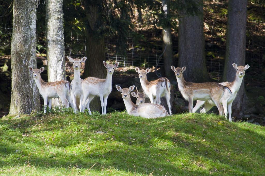 Gasthof Zur Post Sankt Kathrein am Hauenstein Exteriér fotografie